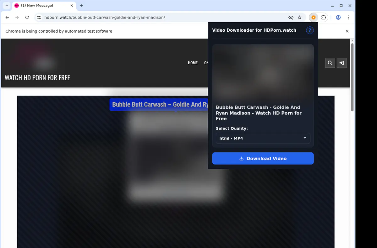 Hdpornwatch Video Downloader browser extension screenshot 3